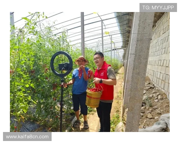 K8体育娱乐平台全面解析：提供多元化体育赛事直播与高效投注体验